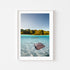 Swimming shark rays in split view - framed underwater wall art for coastal homes