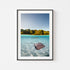 Split view of swimming shark rays in black frame - marine life coastal wall art
