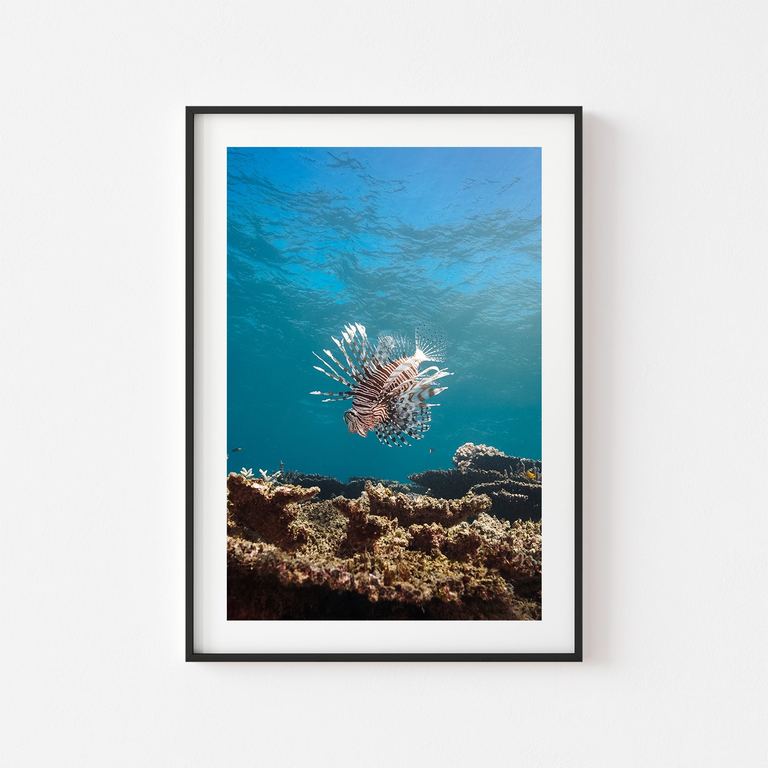 Striped Majesty coastal seascape in black frame - modern beach photography wall art