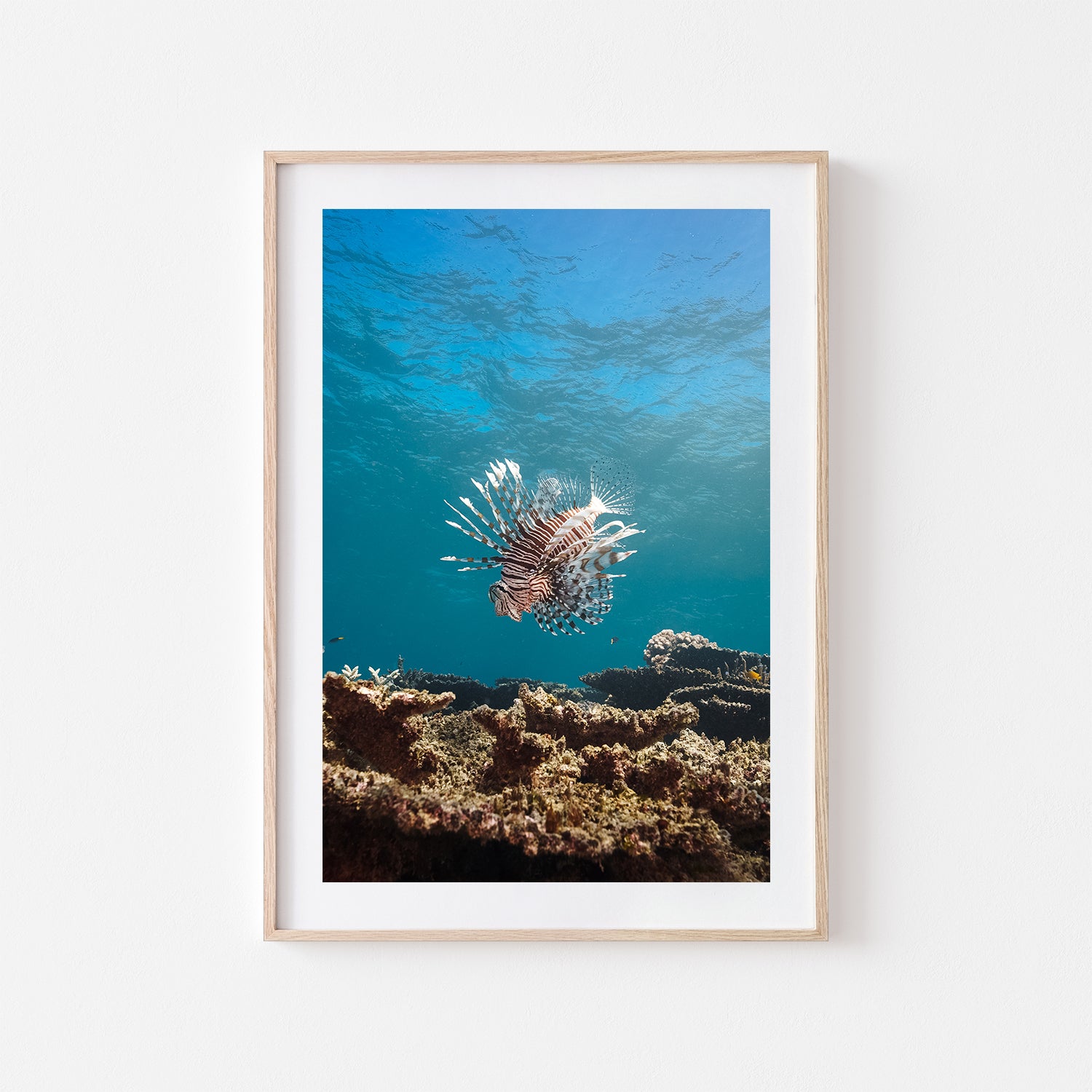 Striped Majesty seaside view in oak frame - coastal landscape wall art for modern homes