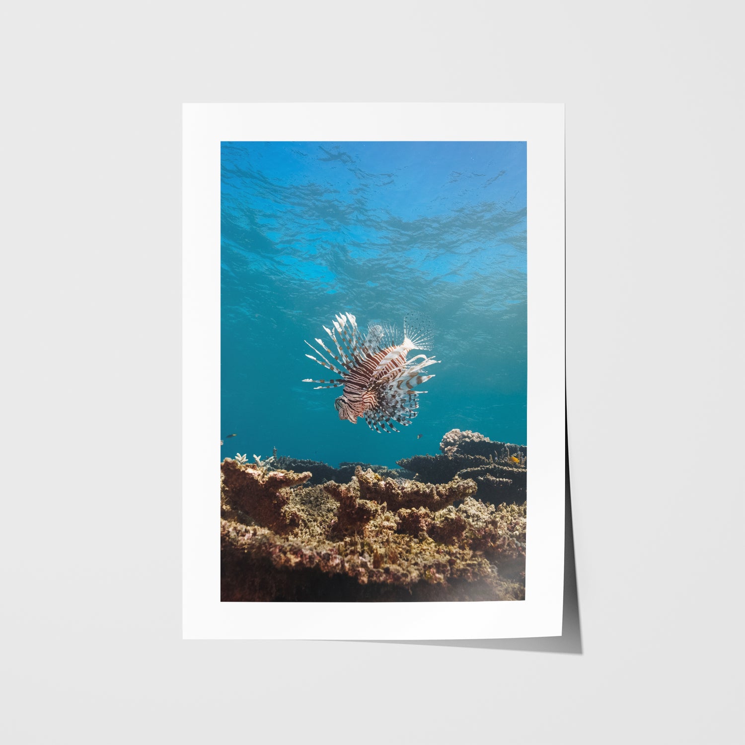 Striped coastal waves in an abstract style - unframed modern seascape art print for