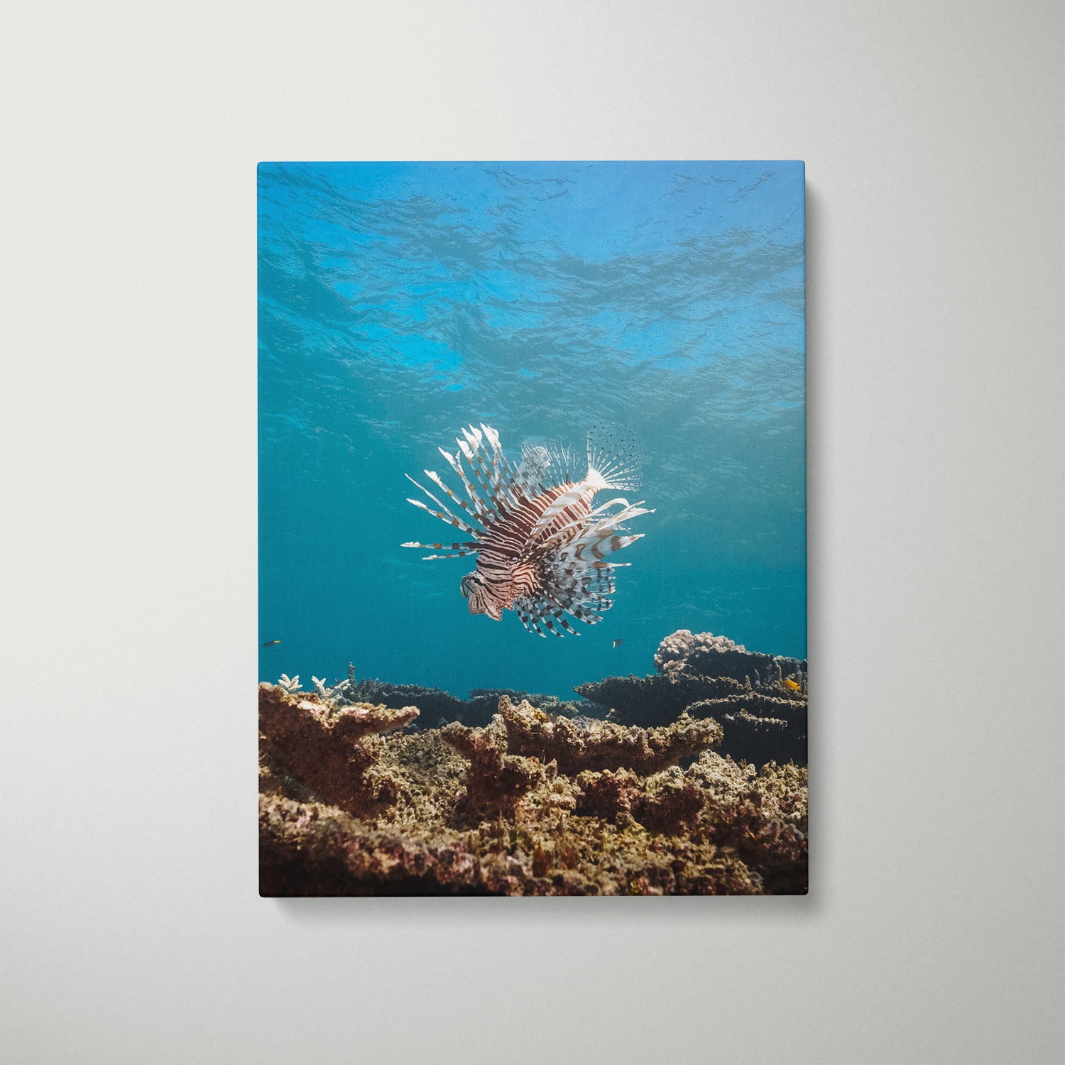 Striped Majesty coastal seascape in white frame - modern beach wall art for coastal homes