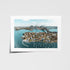 Sydney harbour views framed in white - scenic coastal photography wall art for modern