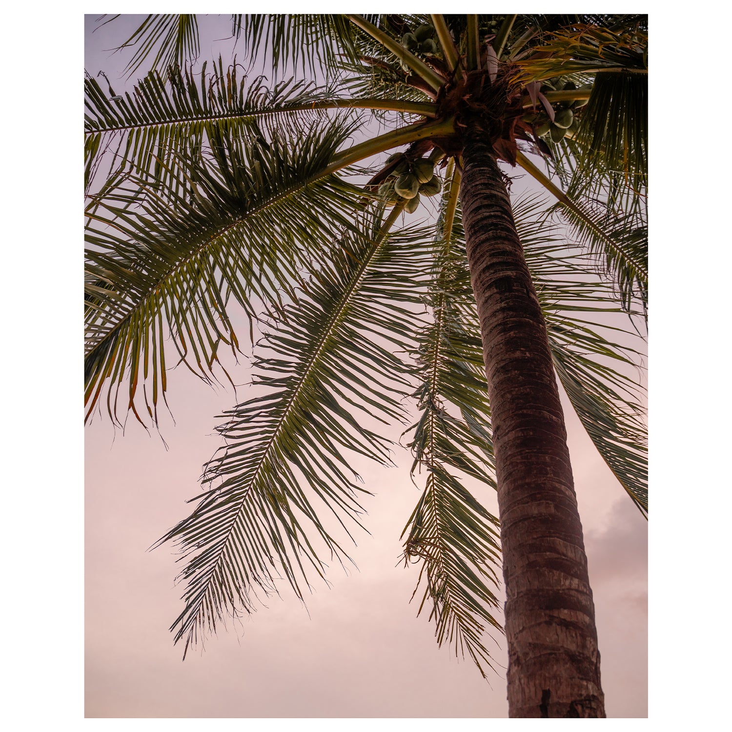 Tropical beach landscape unframed art print - coastal wall decor for modern homes