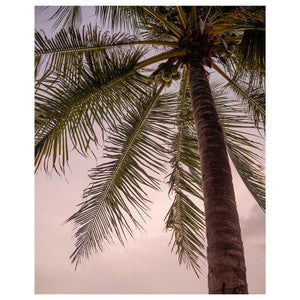 Tropical beach landscape unframed art print - coastal wall decor for modern homes