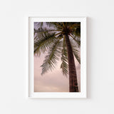 Tropical Taste Art Print