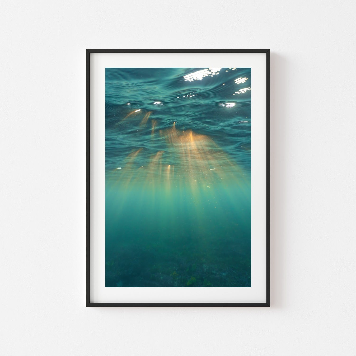 Underwater Rays Art Print - Through Our Lens