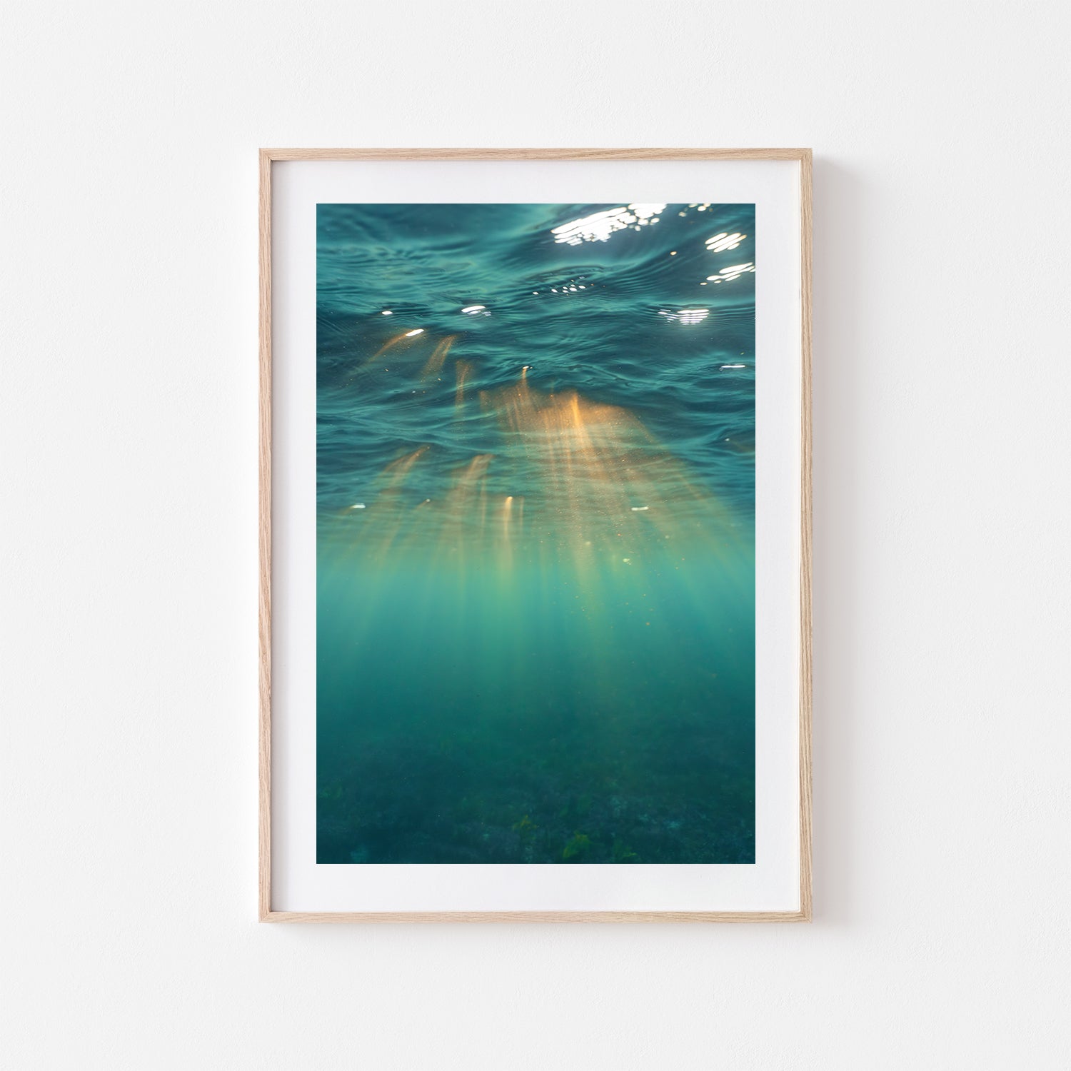 Underwater Rays Art Print - Through Our Lens
