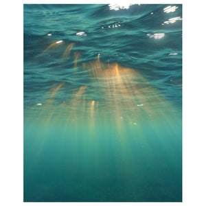 Underwater Rays Art Print