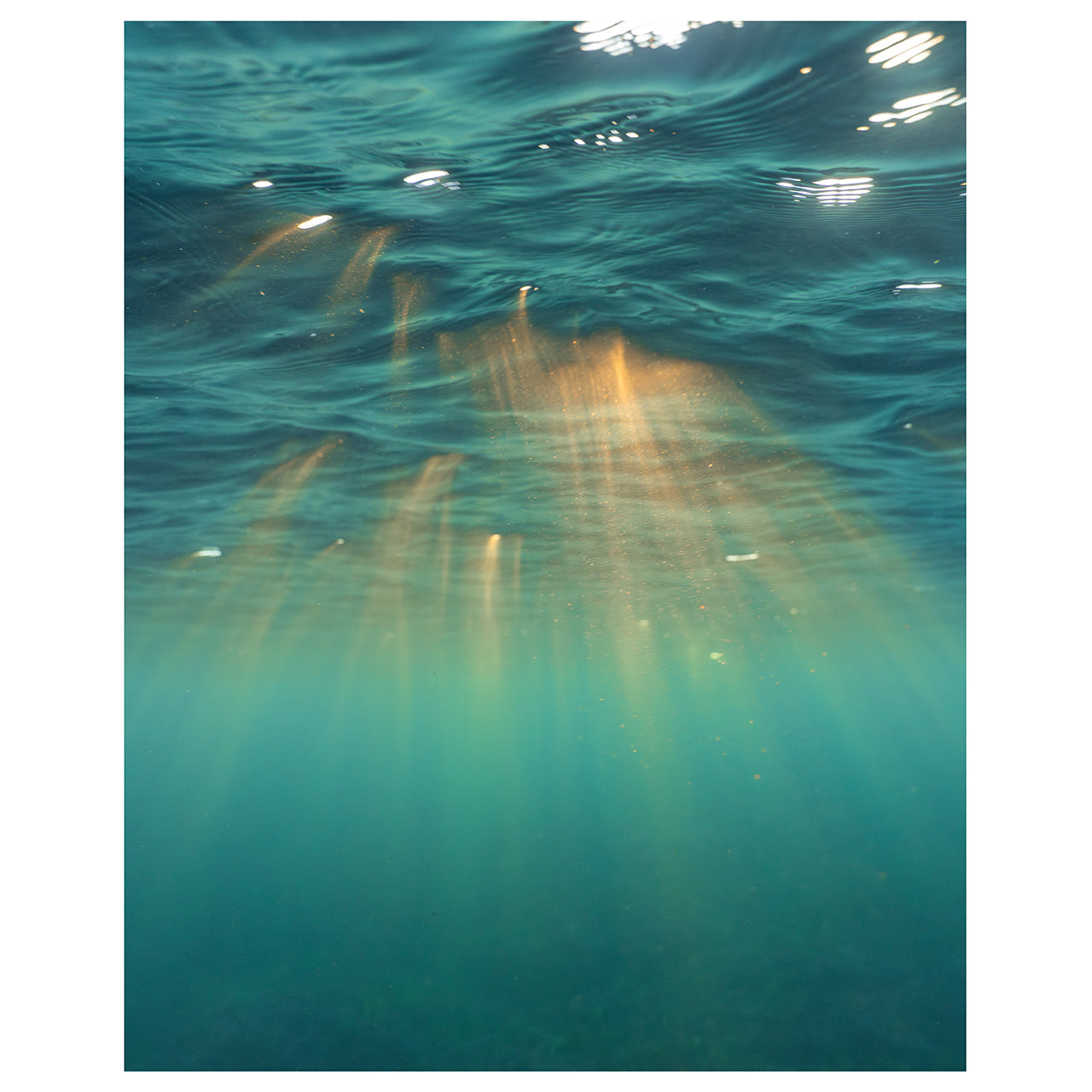 Underwater Rays Art Print - Through Our Lens