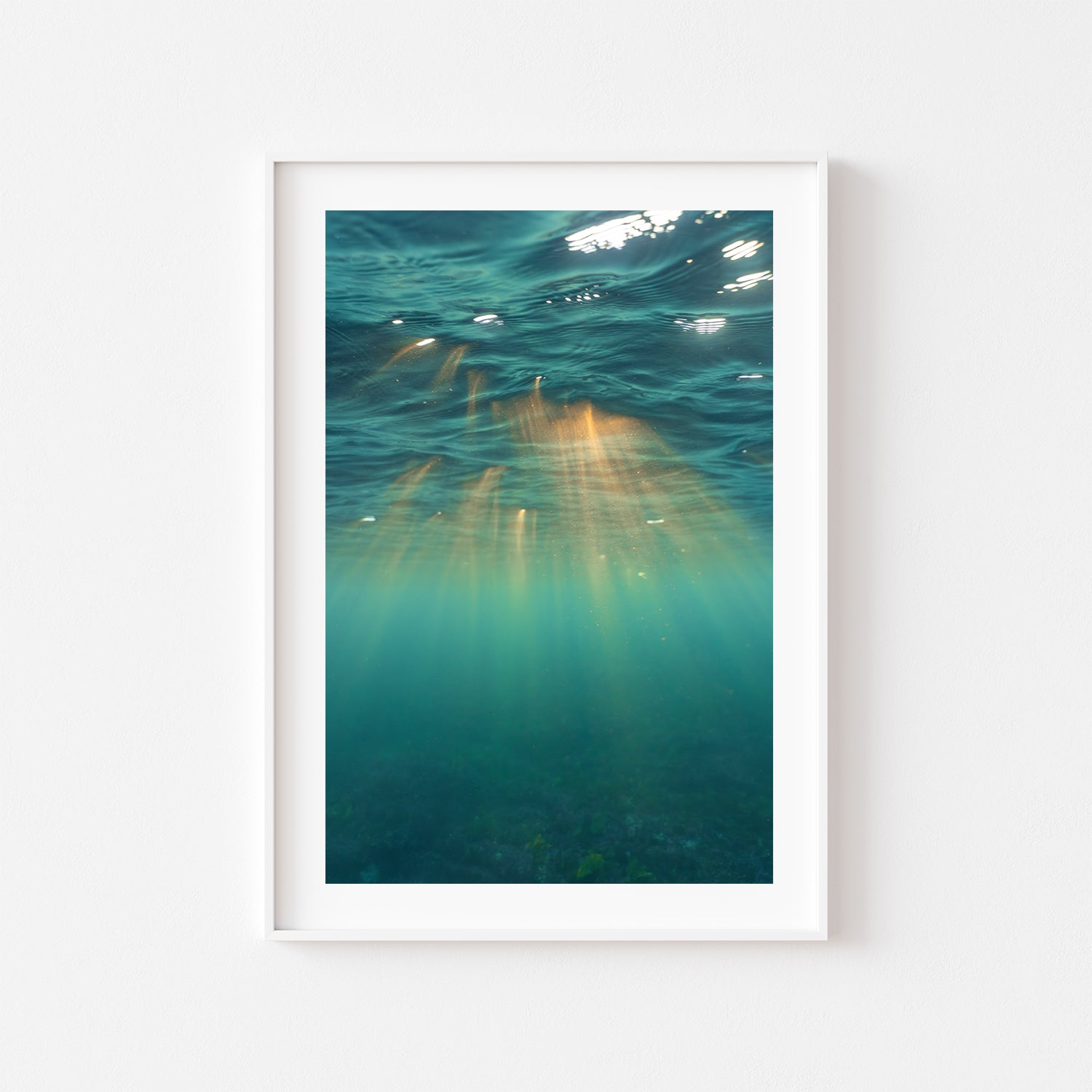 Underwater Rays Art Print - Through Our Lens