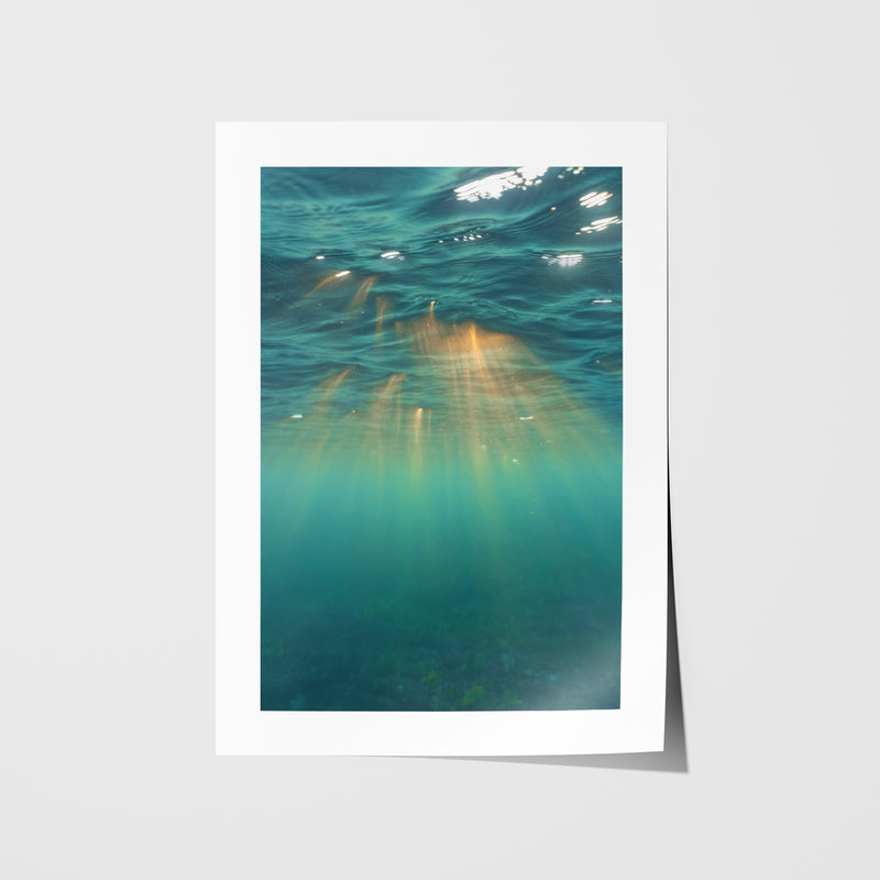 Underwater Rays Art Print - Through Our Lens