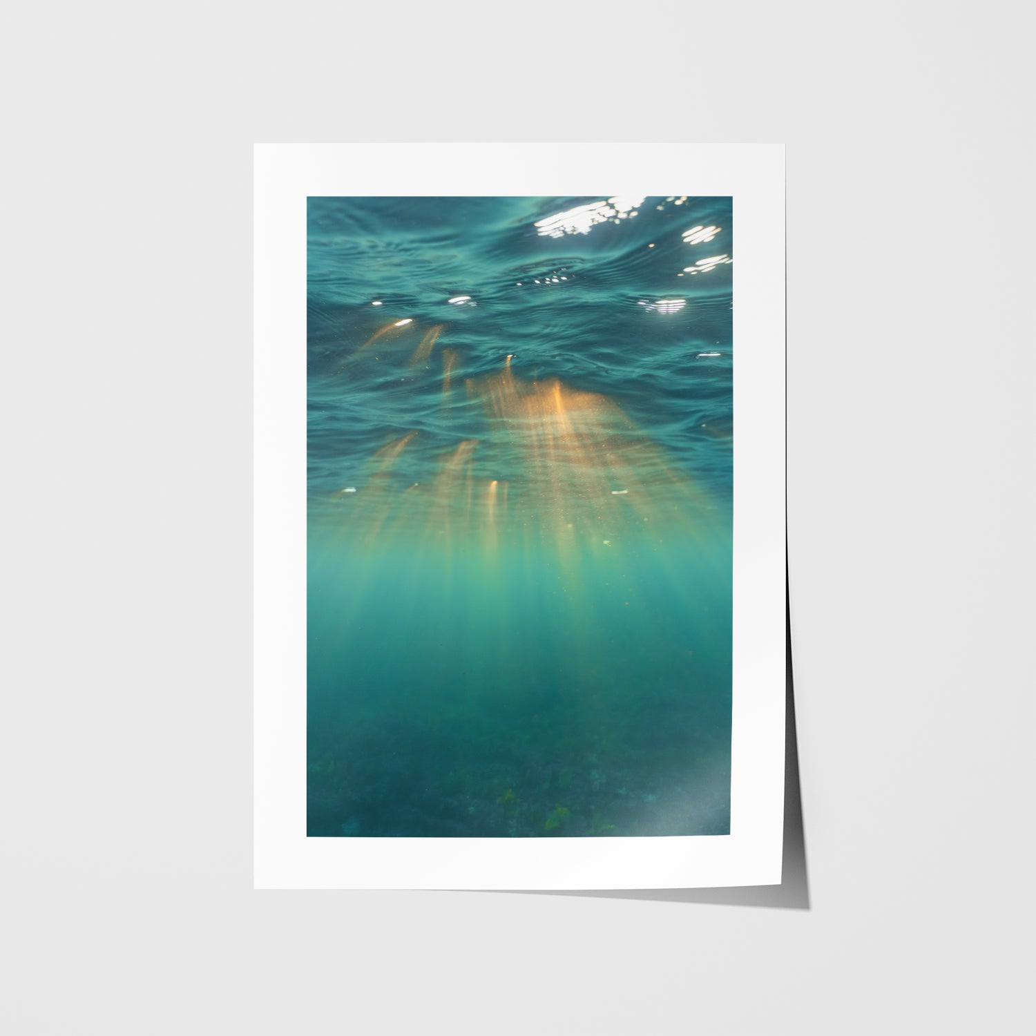 Underwater Rays Art Print - Through Our Lens