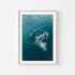 Whales swimming beneath ocean surface - framed marine life art print in oak frame