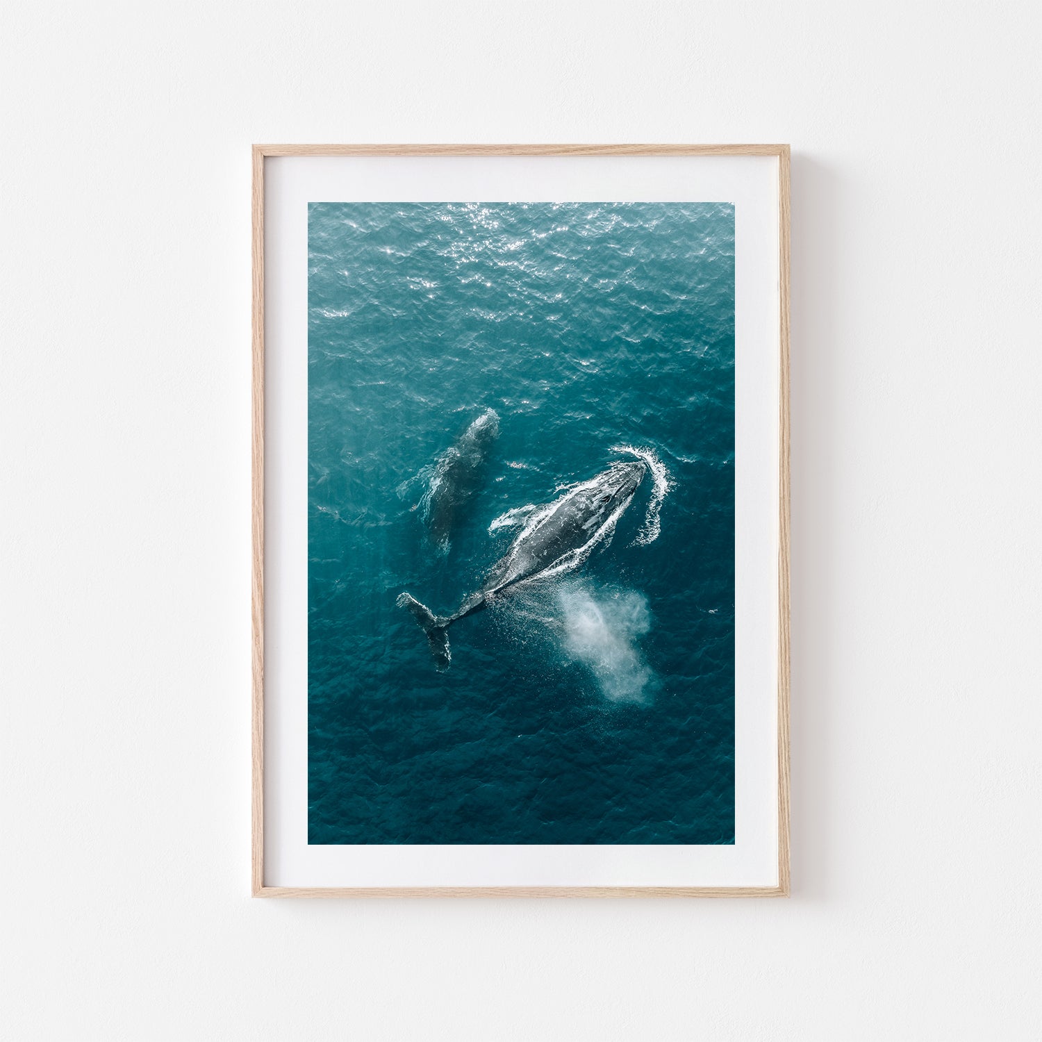 Whales swimming beneath ocean surface - framed marine life art print in oak frame