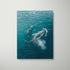 Swimming whales pod in ocean photograph - framed coastal wall art in white frame