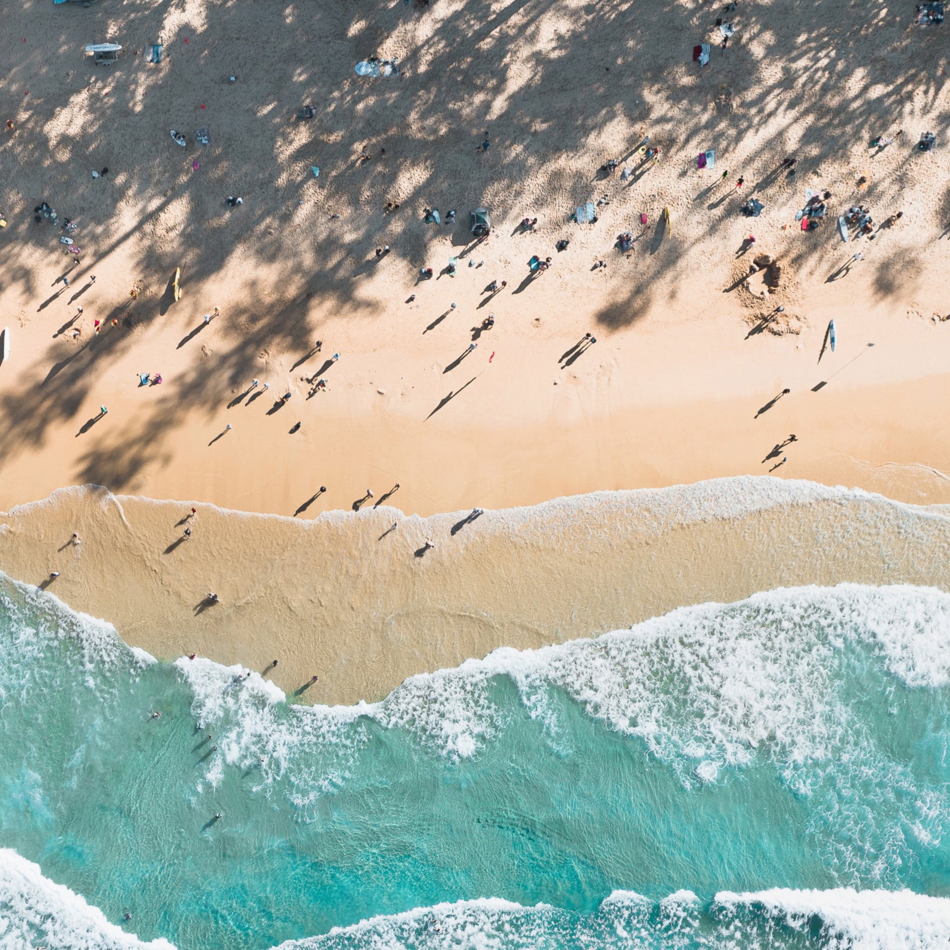 Manly Waves Art Print