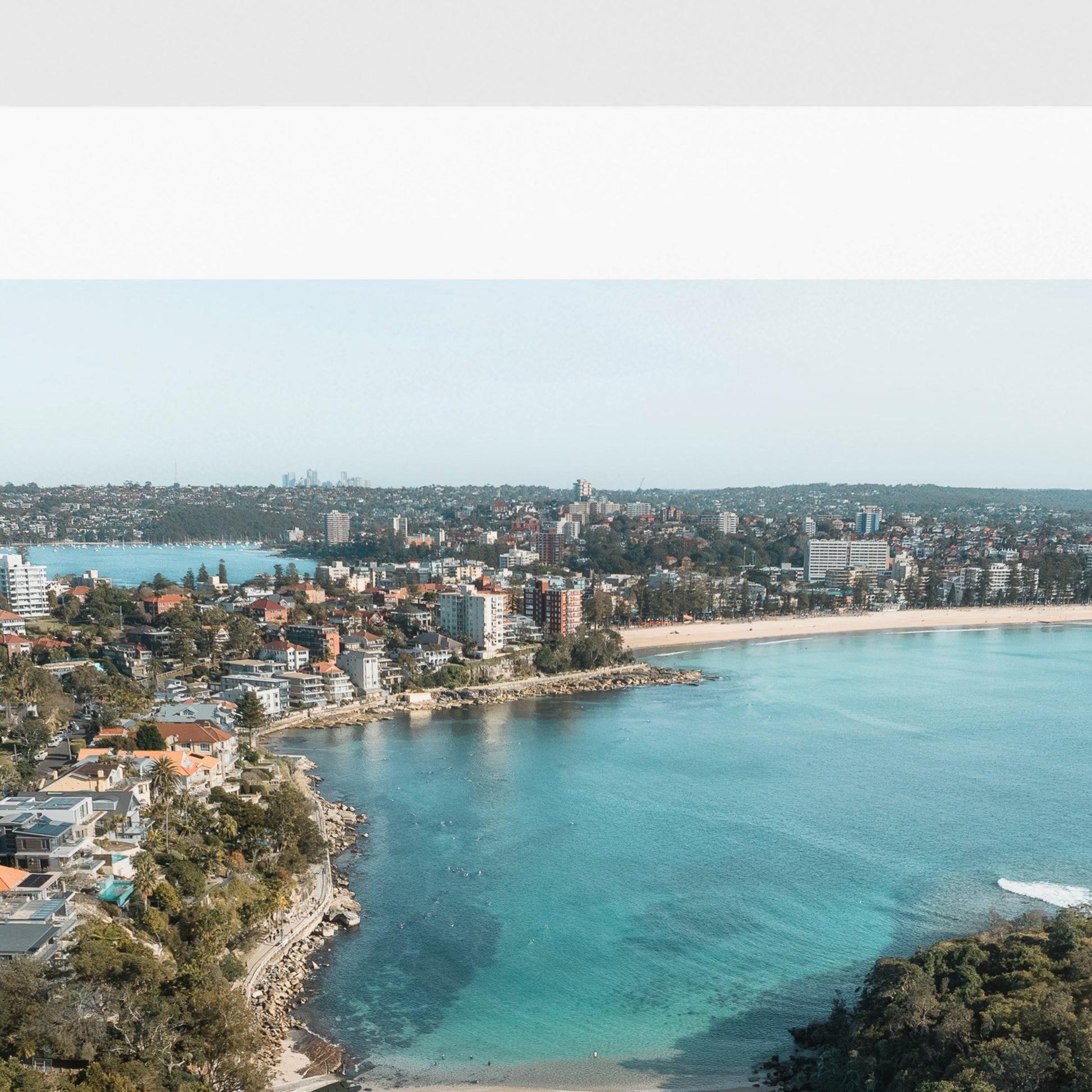 Shelly to Manly Art Print