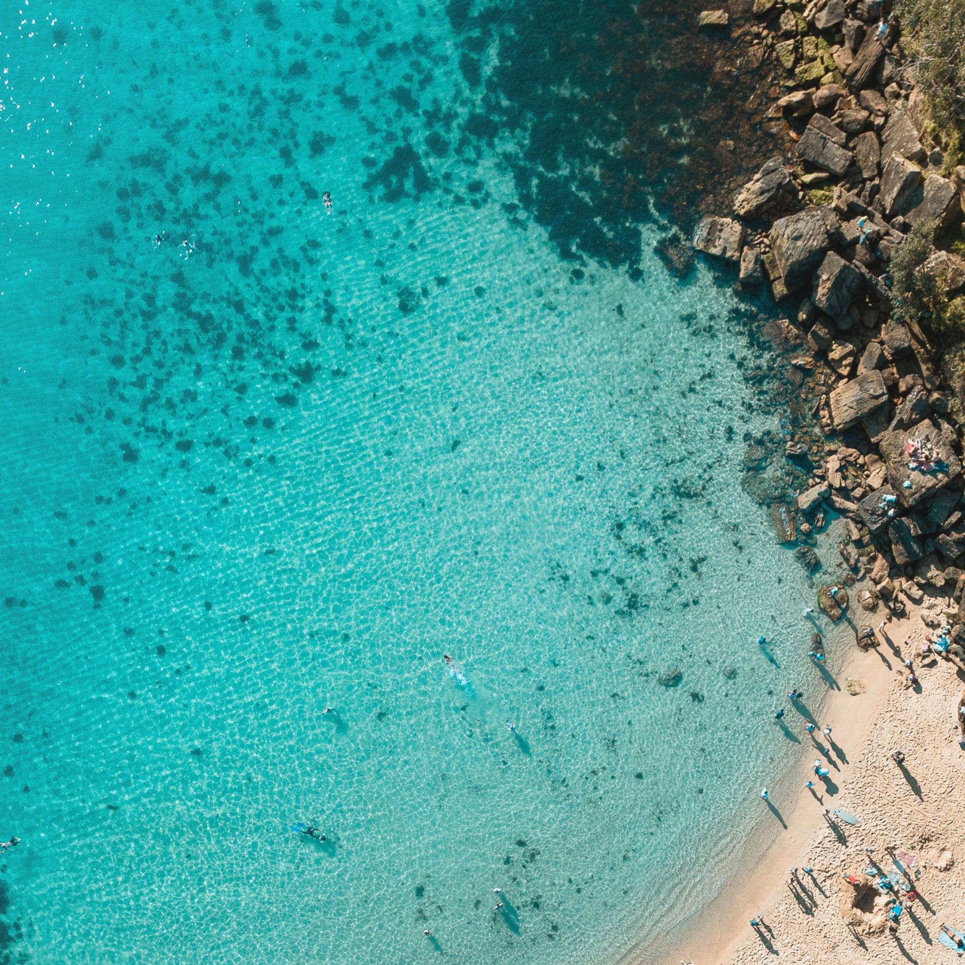 Shelly Haven Art Print