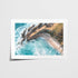 Above Little Wategos Art Print-Print-Through Our Lens-Unframed-Small-Landscape-Through Our Lens