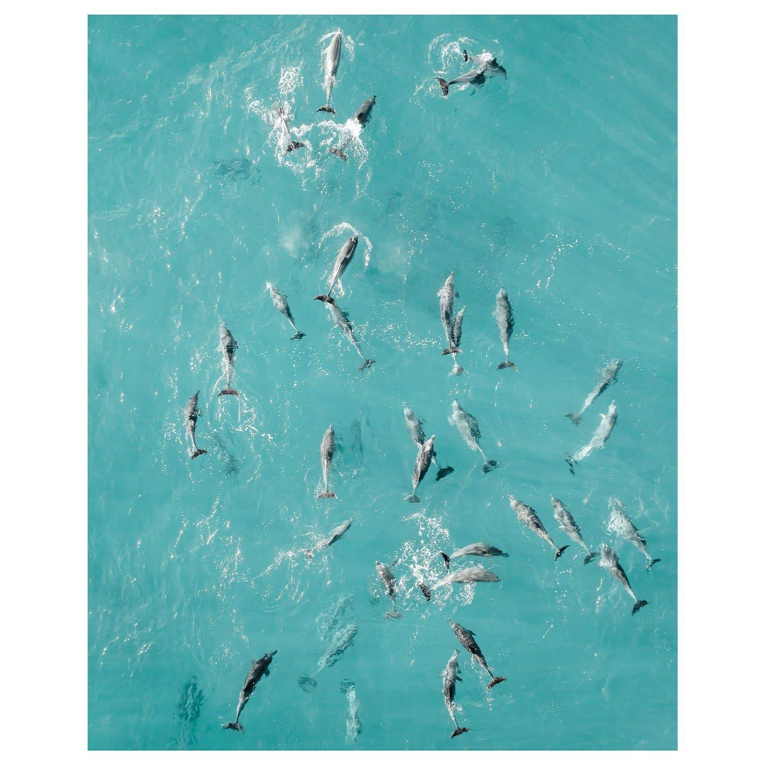 The Fleet Art Print-Print-Through Our Lens