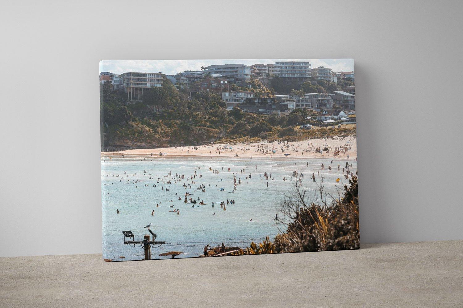 Freshie For Days - Through Our Lens