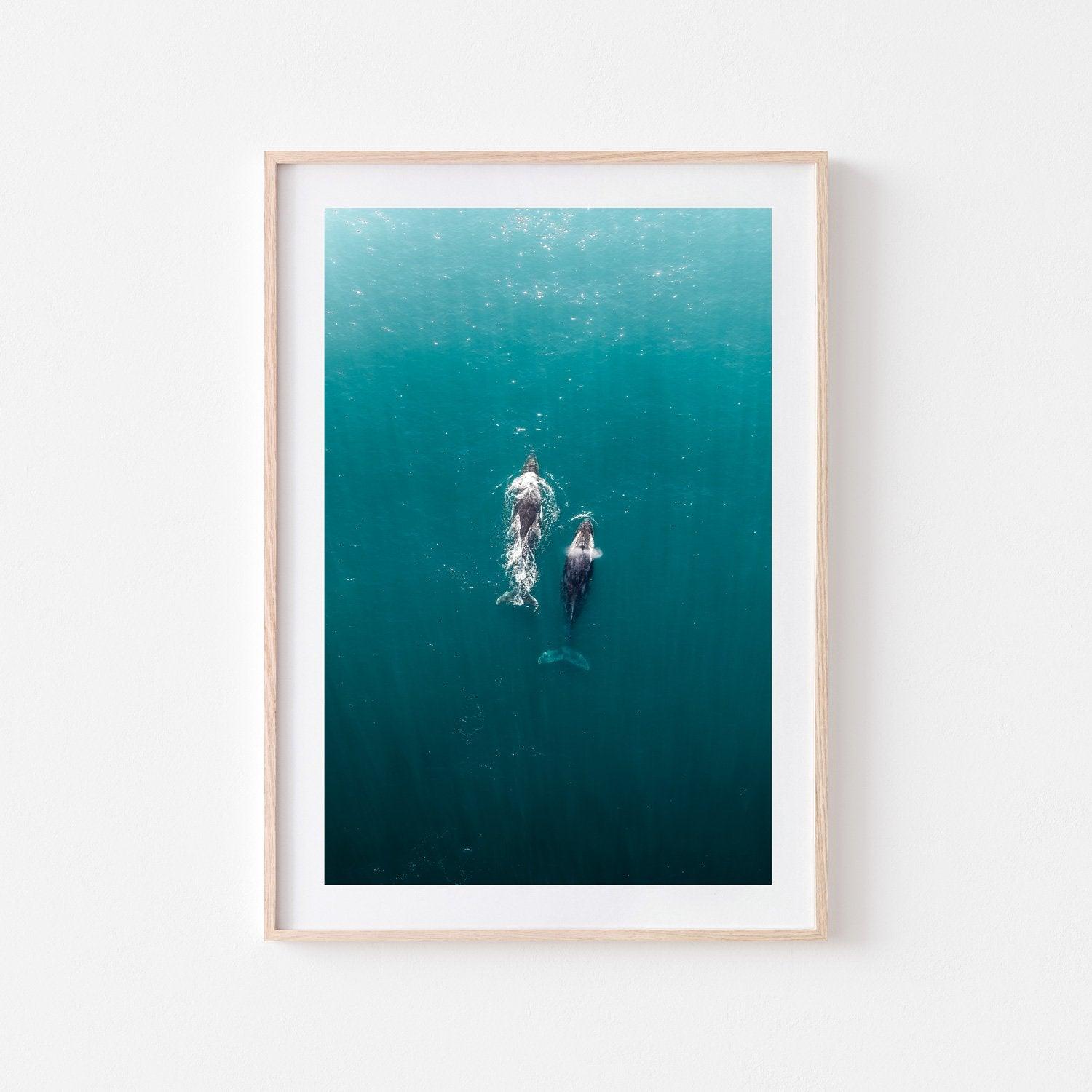 Roamers Art Print-Print-Small-Oak Frame-Through Our Lens