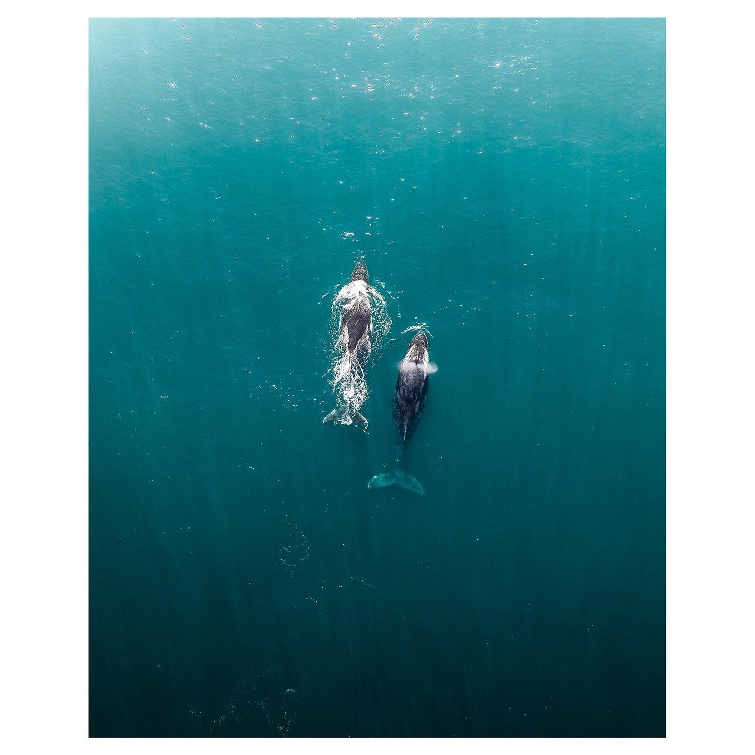 Roamers Art Print-Print-Through Our Lens