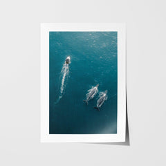 Ocean Companions Art Print - Through Our Lens