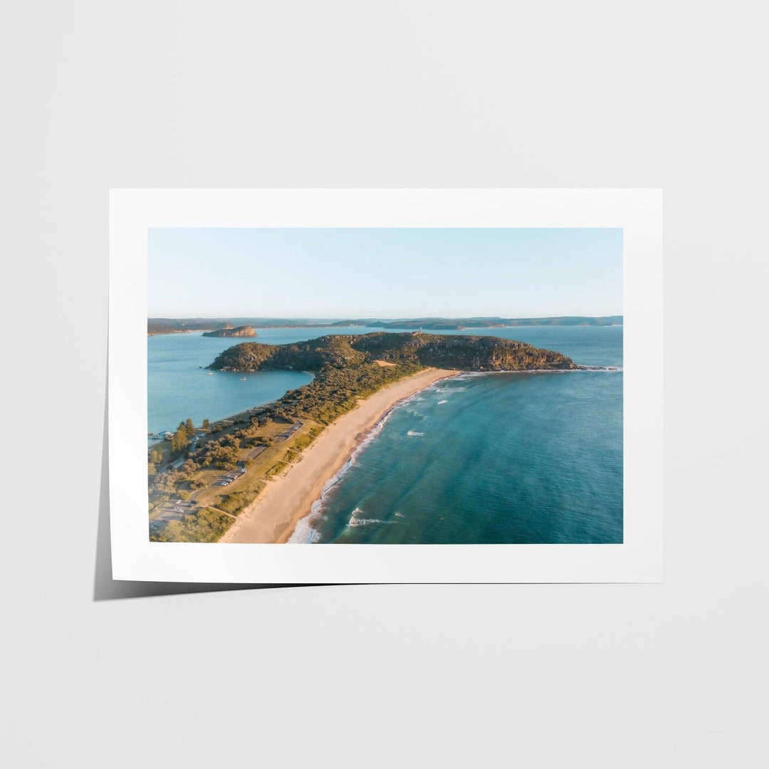 Palmy Landscape Art Print - Through Our Lens