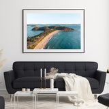 Palmy Landscape - Through Our Lens