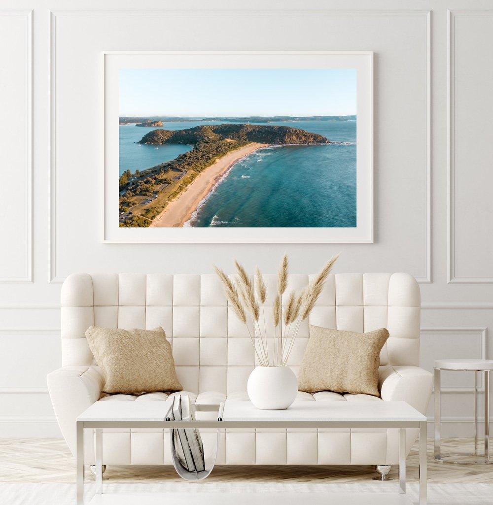 Palmy Landscape - Through Our Lens