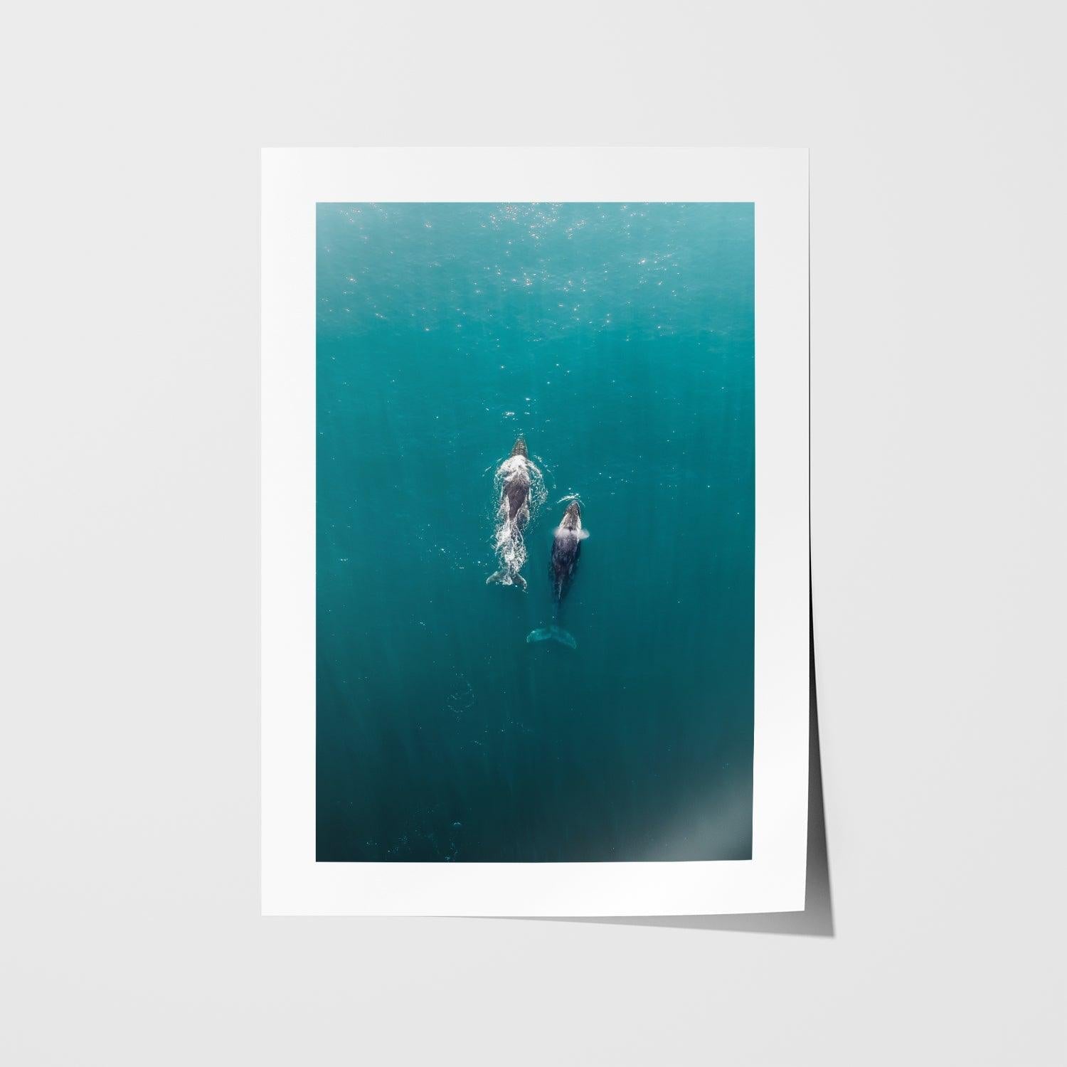 Roamers Art Print-Print-Through Our Lens-Unframed-Small-Through Our Lens