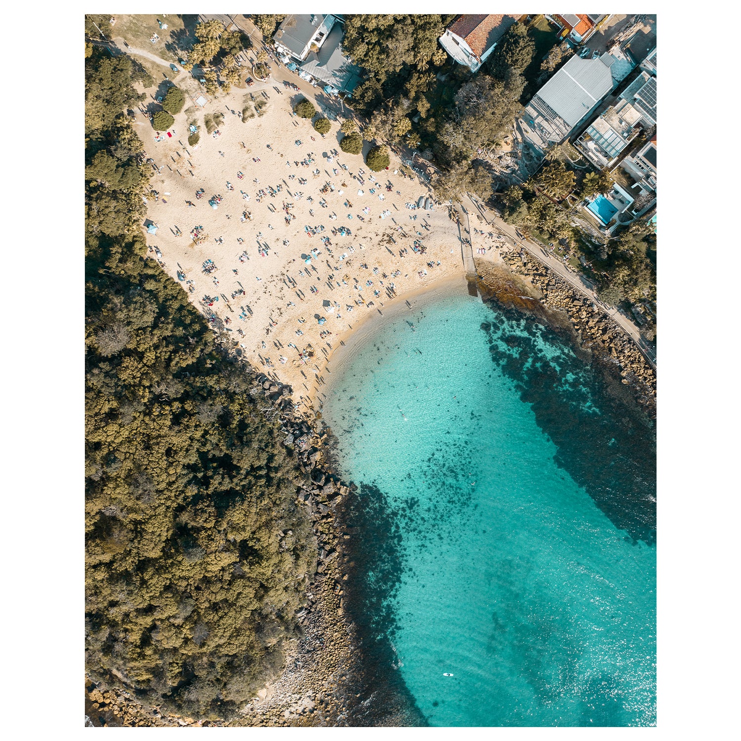 Shelly coastal seashell photograph - unframed coastal wall art